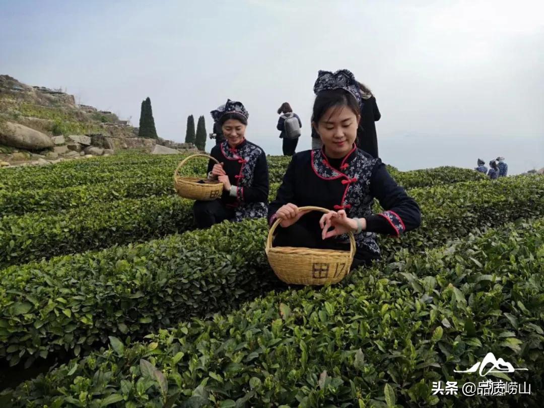 青岛崂山揭开神秘面纱，壮丽景色与丰富活动最新报道